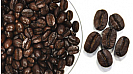 Кофе в зернах CAFE CULT HAMBURG 